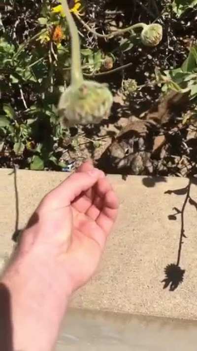 instant karma from a squirrel