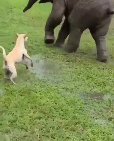Protecting Parents