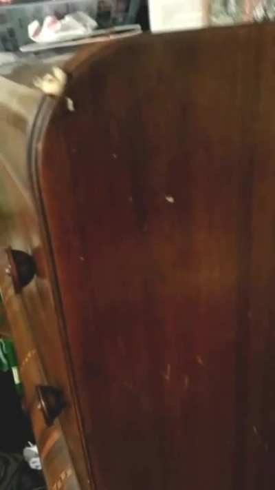 Use Walnuts or Pecans to Hide Scratches In Wood Furniture Instantly!!!
