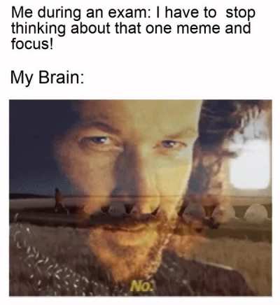 aka my 2 brain cells
