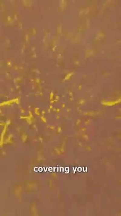 never dry your hands with air dryers in public bathrooms. Fecal aerosols are real. Don&rsquo;t dry with airborne poop. Public toilets honestly need UV and HEPA filters.