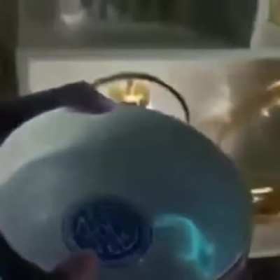 Fish glows a luminous blue under UV light.