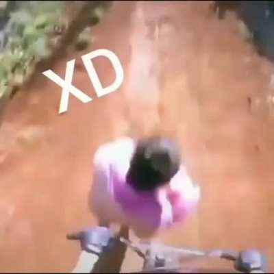 XD