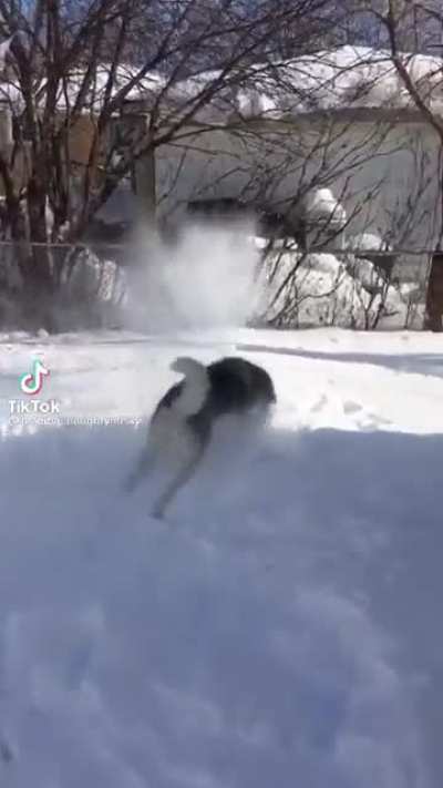 This is revenge for the cone!