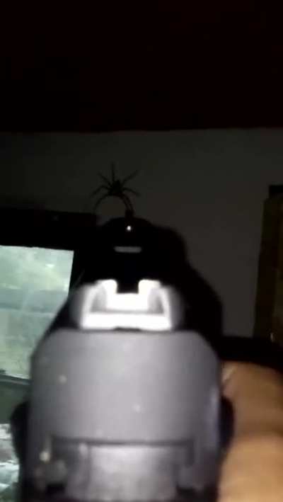 Spider Kill