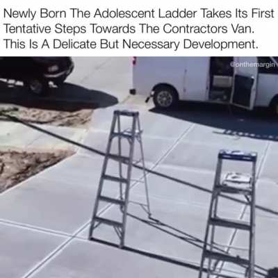 First Steps