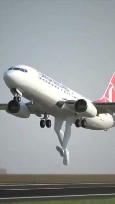 Coming in for a landing