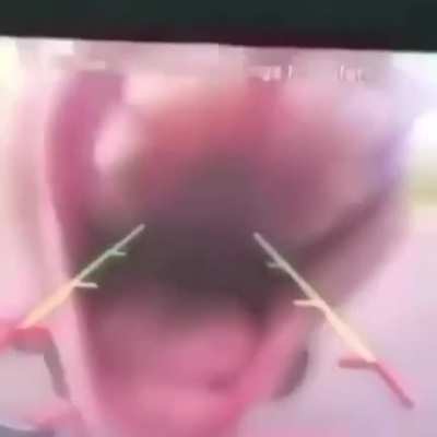 Suki Suki