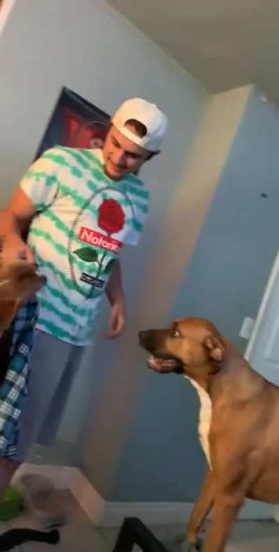 A a a a