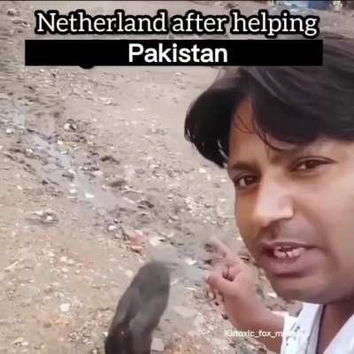 T:- people feed dogs but try feeding them once, you will go to heaven