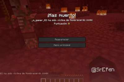 Portal Equivocado 😳