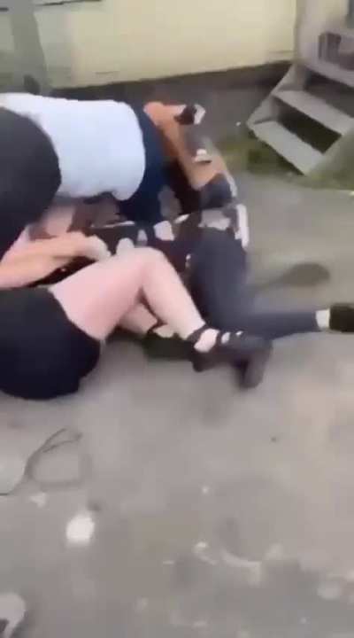 Cheltenham Cat fight