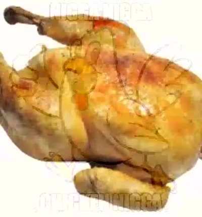 cursed_chickenstory