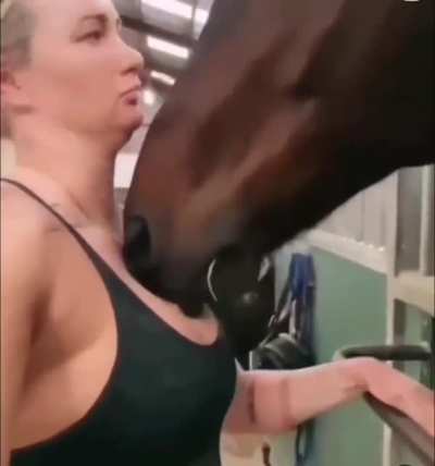Not a cow boy but