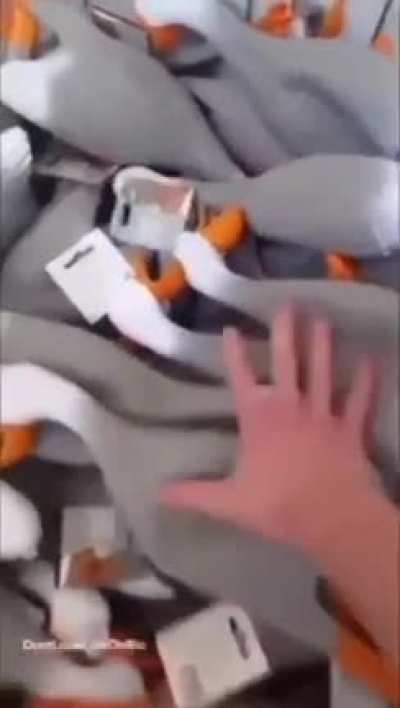Ol&aacute;
