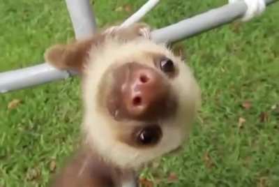 AAAAA