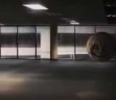 cursed_moon