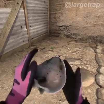 fbhnjgm,k