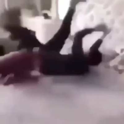R O A C H