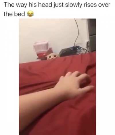 Jumpscare