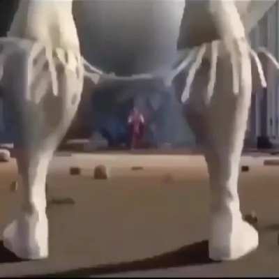 Se rompio el ano xd