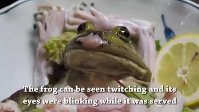 NSFW: CRUELTY - AVOID WATCHING