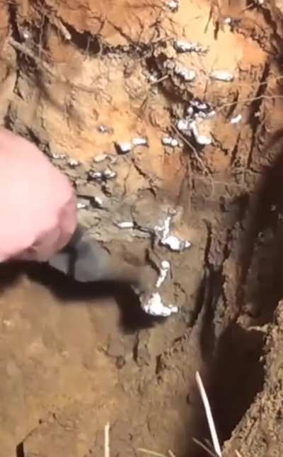 🔥 Ant Hill Is Cast With Molten Metal
