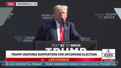 Trump: Whales are being killed by Windmills in numbers never seen in all of history 
