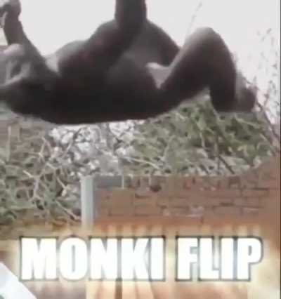 title isn't necessary