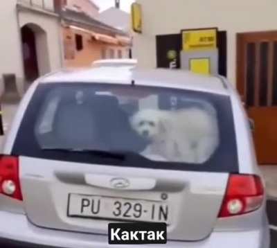Do you mind