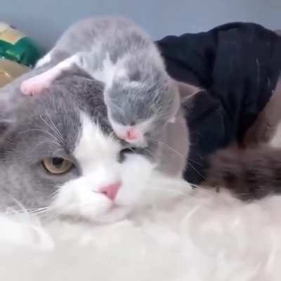 The joys of parenthood.