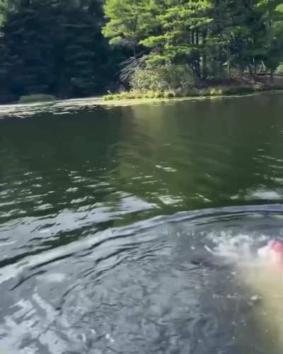 Skinny dipping