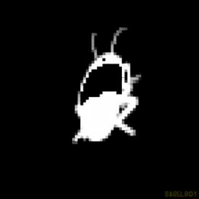 Where's sans?