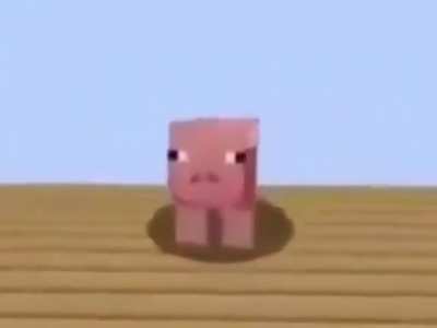pig