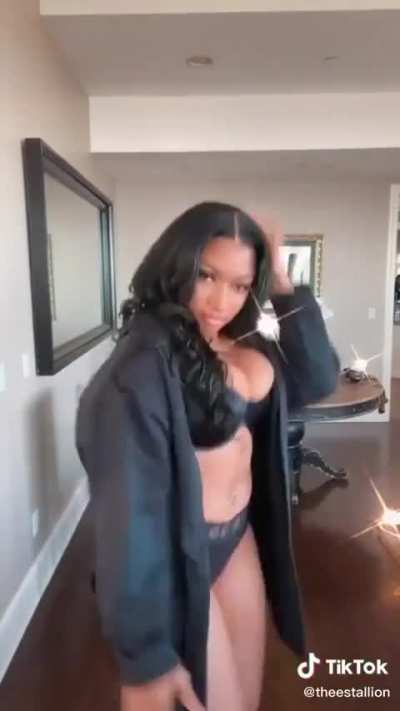 Stallion