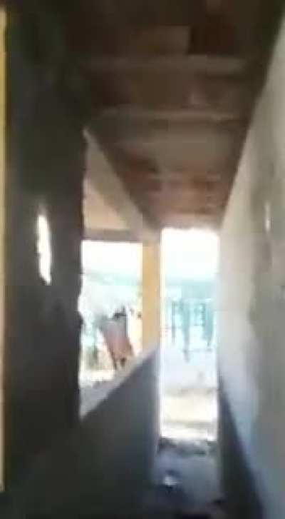 Vai meche com bixo que ta queto BURRO