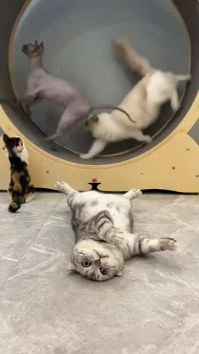 I'm pooped