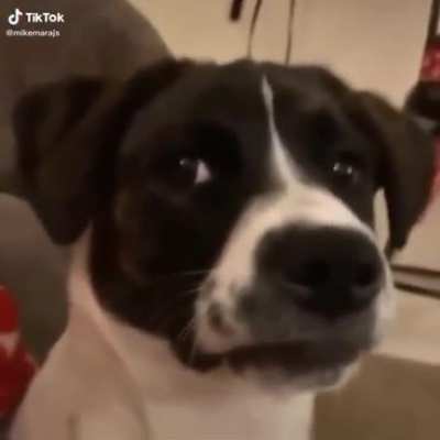 How Bruce gonna be in the future after the one millionth nose joke