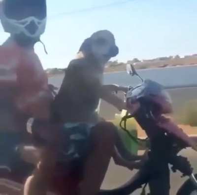 É nois na front?