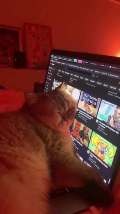 Last post got removed. Maybe this one is more appropriate, she&rsquo;s been like this for 3 hours.