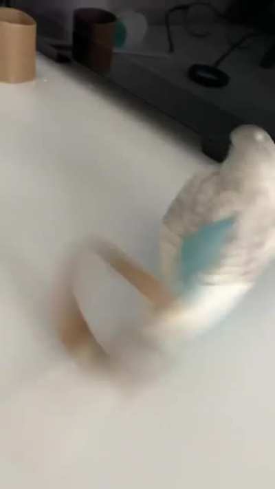 Bird Moment&hellip;