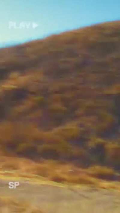 Mormon tries to catch a football