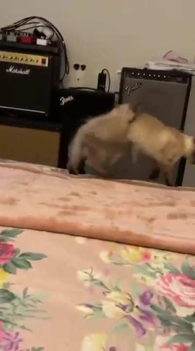 A trai&ccedil;&atilde;o inesperada KKKKKK