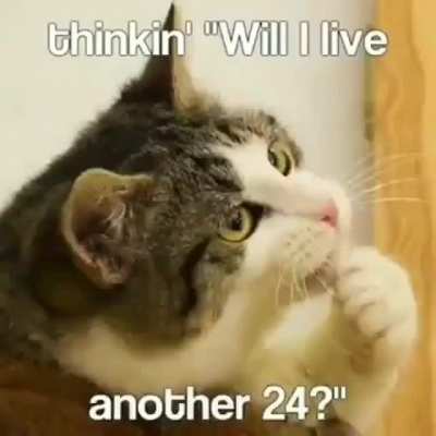 i love this video