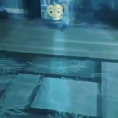 Cursed bee