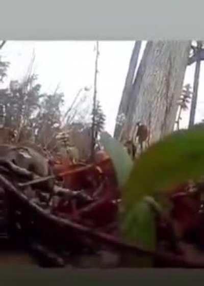 Bull's-eye! Hunters Eye Gets Destroyed by Elk