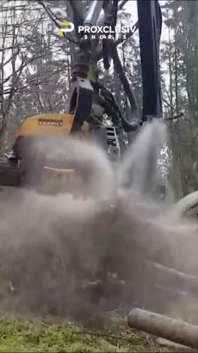 Tree Cutting Technology