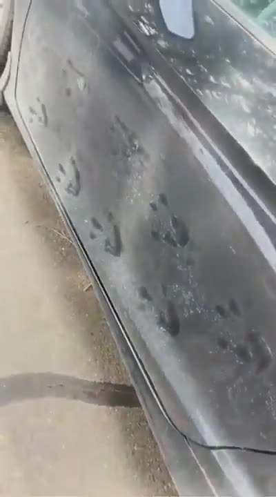 ...