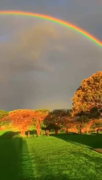 🔥 Somewhere Over the Rainbow