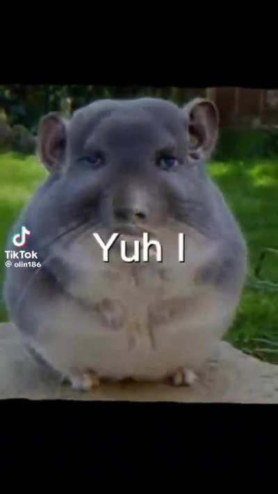 Title
